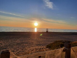 Ferienhaus Castagneto Carducci Umgebung 29