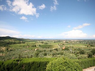 Ferienhaus Castagneto Carducci Umgebung 32