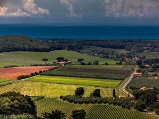 Vakantiehuis Castagneto Carducci Omgeving 34