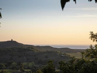 Vakantiehuis Castagneto Carducci Omgeving 36