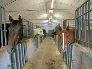 Bauernhof Monte Santa Maria Tiberina  37