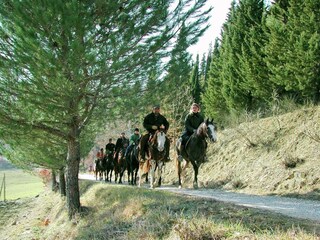Type de propriété : Ferme Monte Santa Maria Tiberina  40