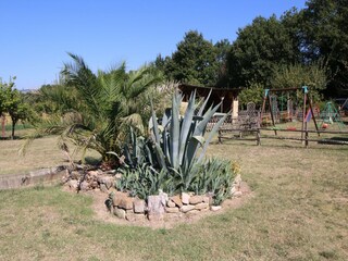 Holiday cottage Todi Outdoor Recording 7
