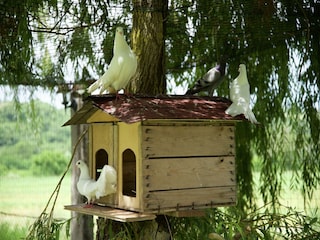 Vakantiehuisje Todi  34