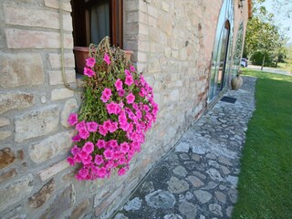 Vakantiehuisje Todi  30