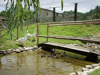 Casa de vacaciones Todi  32