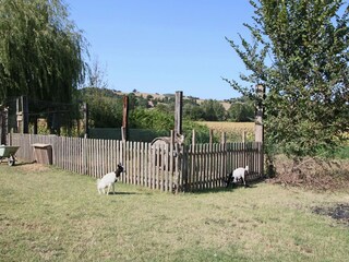 Maison de vacances Todi  26