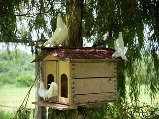 Appartement Todi  27