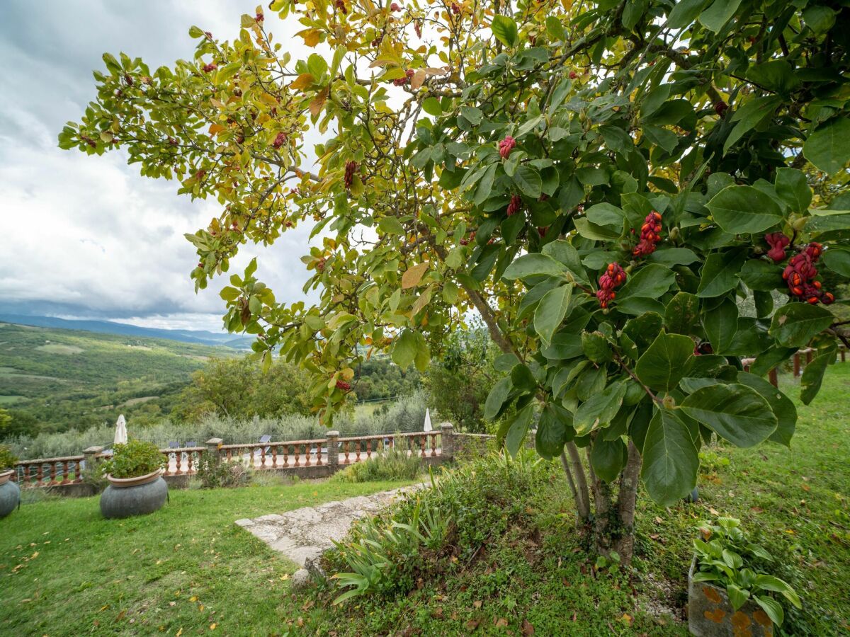 Bauernhof Caprese Michelangelo Außenaufnahme 5