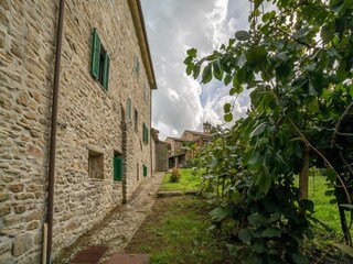 Type de propriété : Ferme Caprese Michelangelo Enregistrement extérieur 6