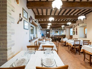 Fattoria Caprese Michelangelo  37