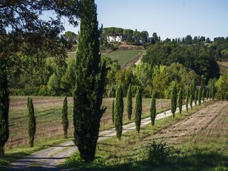 Casa de vacaciones Peccioli Grabación al aire libre 8