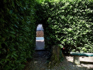Ferienhaus Castelfalfi Außenaufnahme 15