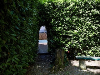 Ferienhaus Castelfalfi Außenaufnahme 13