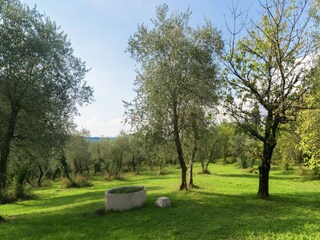 Vakantiehuis Castelfalfi Buitenaudio-opname 15