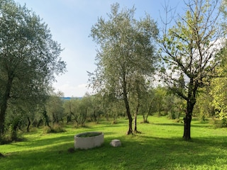 Ferienhaus Castelfalfi Außenaufnahme 3