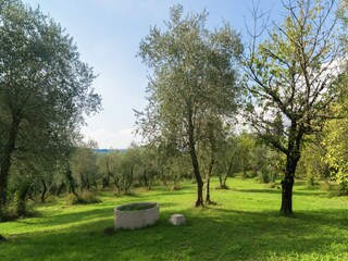 Vakantiehuis Castelfalfi Buitenaudio-opname 3