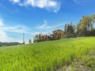 Bauernhof San Maiano Umgebung 25