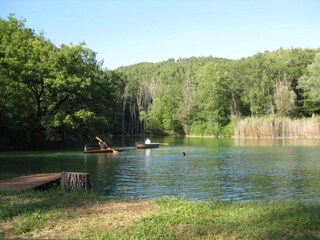 Type de propriété : Ferme San Maiano Environnement 31
