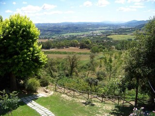 Fattoria San Maiano Ambiente 25