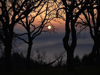 Casa de campo San Maiano Entorno 27