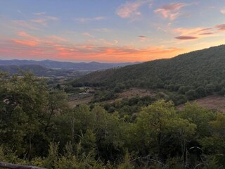 Fattoria San Maiano Ambiente 30