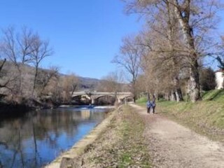 Fattoria San Maiano Ambiente 32