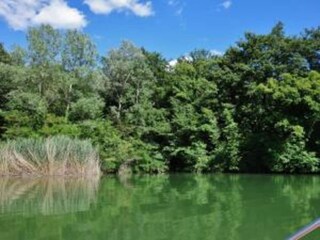 Type de propriété : Ferme San Maiano Environnement 28