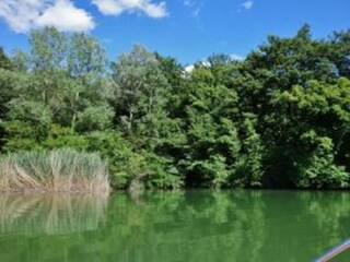 Boerderij San Maiano Omgeving 35