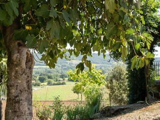 Farmhouse San Maiano Outdoor Recording 14