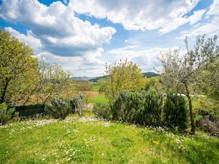 Type de propriété : Ferme San Maiano Enregistrement extérieur 17