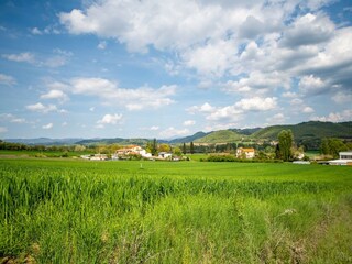 Farmhouse San Maiano Environment 39