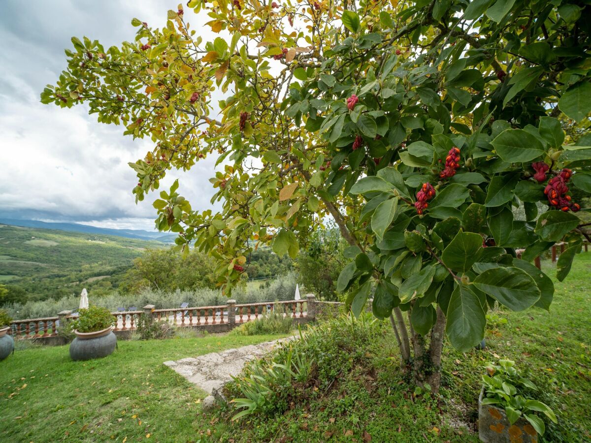 Bauernhof Caprese Michelangelo Außenaufnahme 15