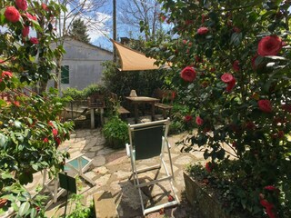 Holiday house Castagneto Carducci Outdoor Recording 6