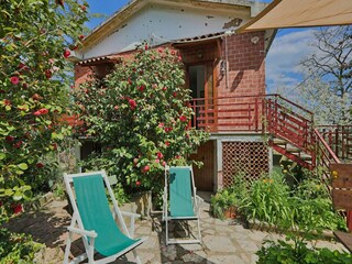 Vakantiehuis Castagneto Carducci Buitenaudio-opname 4