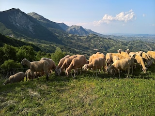 Holiday house Corvara (Abruzzen) Outdoor Recording 8