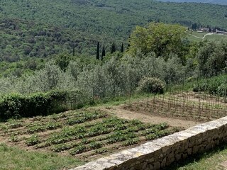 Maison de vacances Pergine Valdarno Environnement 29