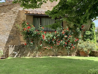 Ferienhaus Pergine Valdarno Außenaufnahme 13