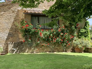 Vakantiehuis Pergine Valdarno Buitenaudio-opname 10