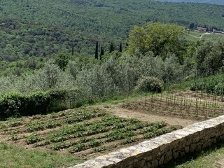 Holiday house Pergine Valdarno Environment 28