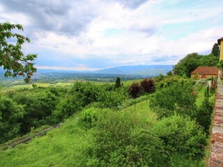 Holiday house Pergine Valdarno Environment 25