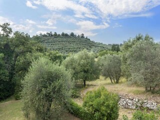 Maison de vacances Pergine Valdarno Environnement 22