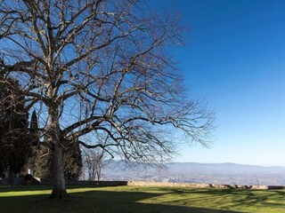 Casa de vacaciones Pergine Valdarno Grabación al aire libre 10