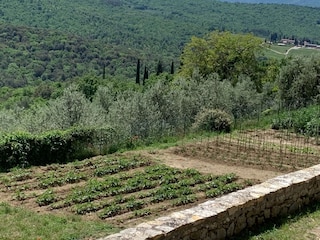Holiday house Pergine Valdarno Environment 24