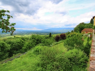 Holiday house Pergine Valdarno Environment 25