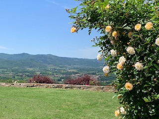 Ferienhaus Pergine Valdarno Umgebung 27