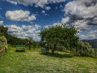 Ferienhaus Pergine Valdarno Außenaufnahme 8