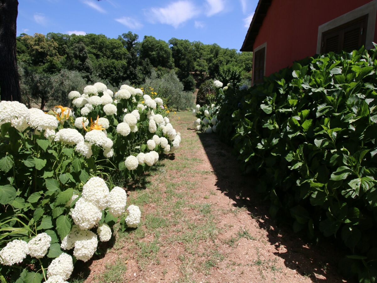 Villa Manziana Grabación al aire libre 1