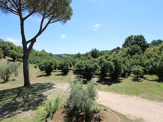 Villa Manziana Outdoor Recording 8