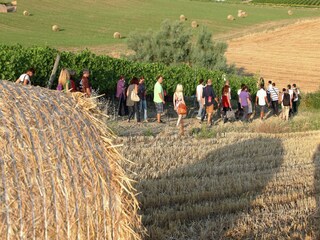 Appartamento Coriano Ambiente 36